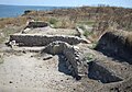 Orolda Borysthenida arxeologik qazishmalar