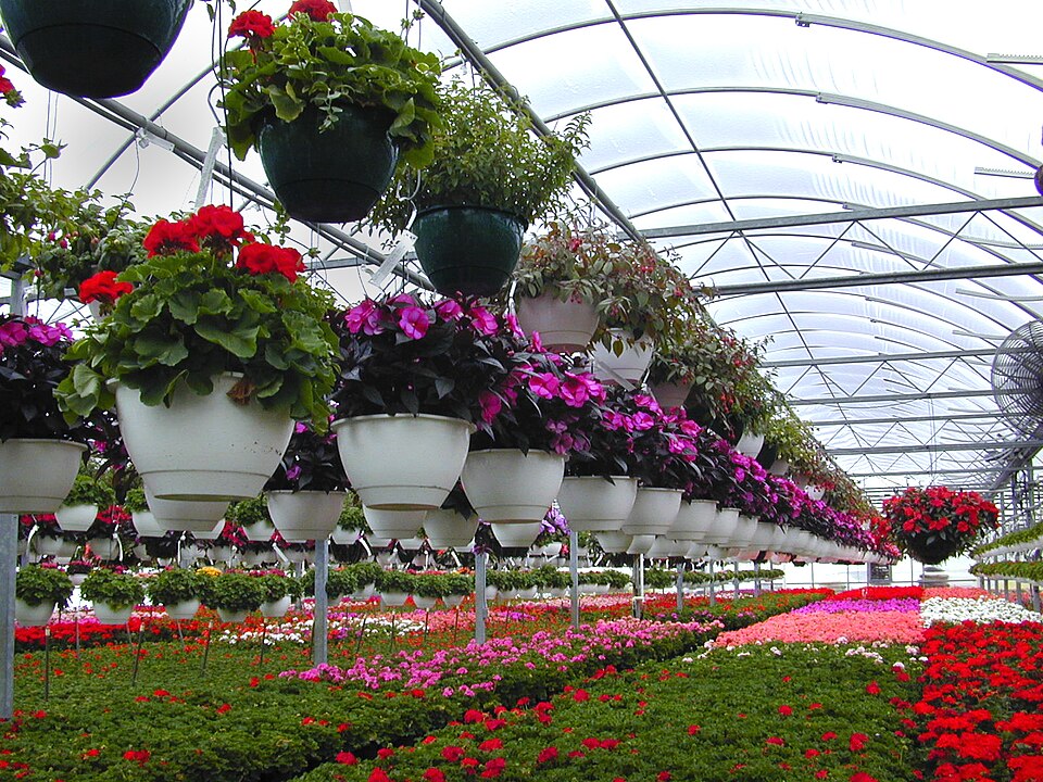 Fayl:Floriculture.jpg