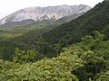 20:42, 2010-yil 9-sentyabr dagi versiya uchun tasvir