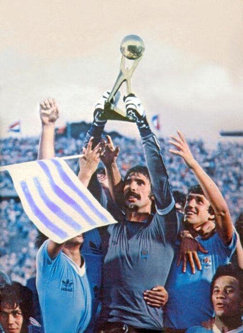 Fayl:RodolfoRodríguez-Mundialito1980.jpg