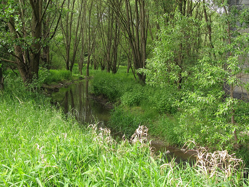 Fayl:Plauen-Kleinfriesen, Friesenbach IMG 7495.JPG