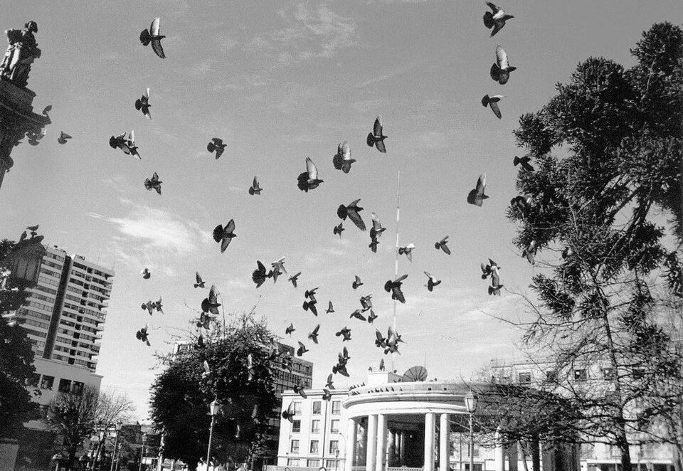 Fayl:Plaza de Armas Concepción.jpg