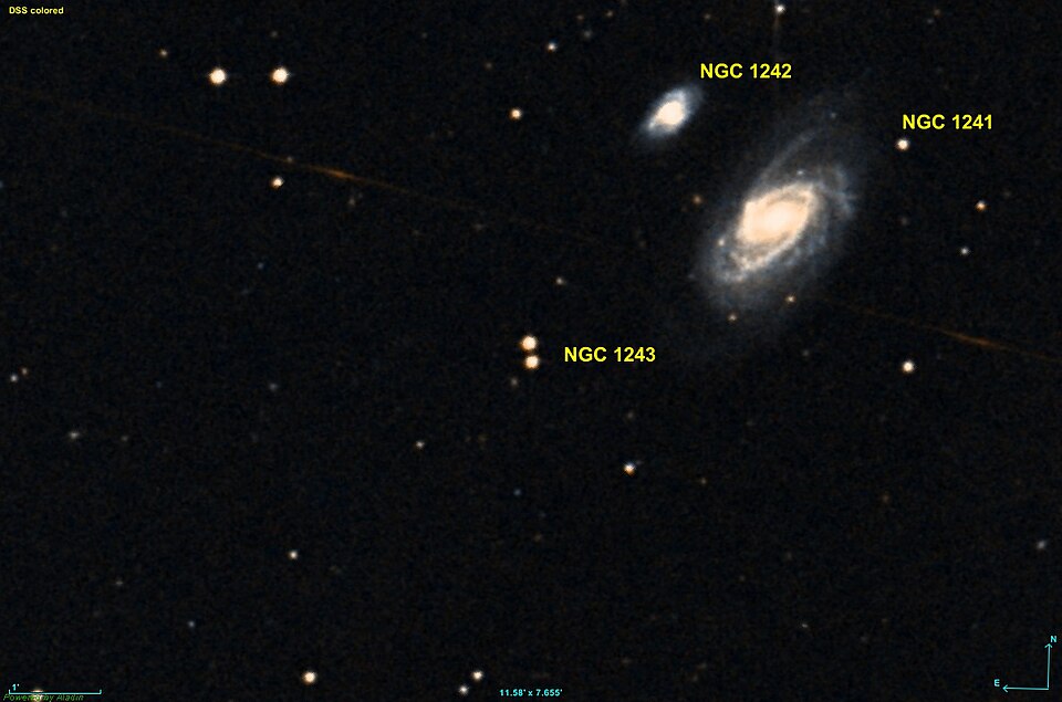 Fayl:NGC 1243 DSS.jpg