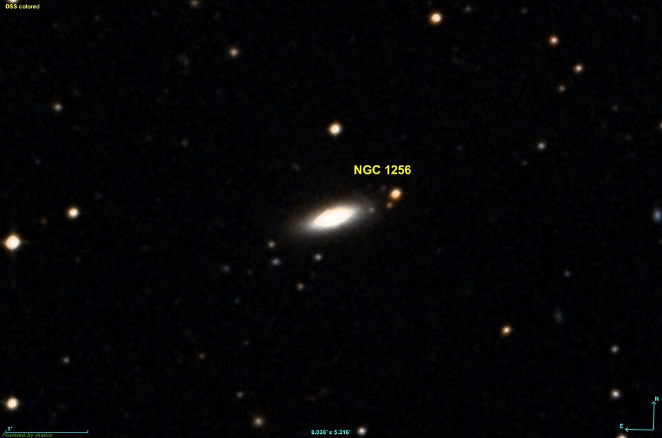 Fayl:NGC 1256 DSS.jpg