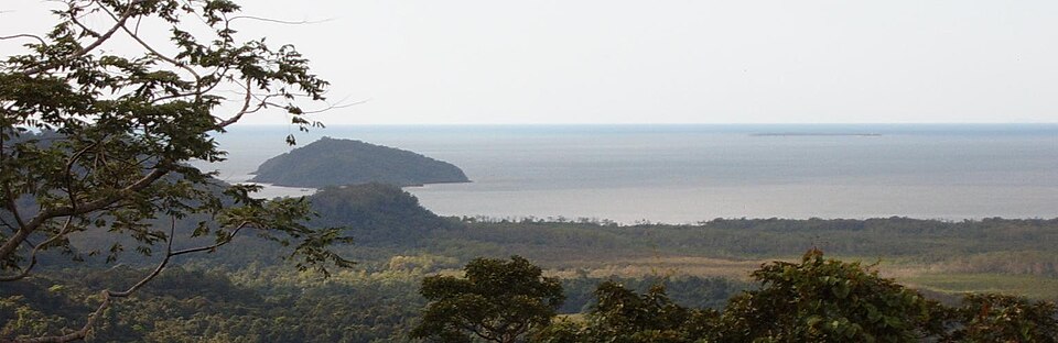Fayl:Snapper Low Isles QLD.JPG