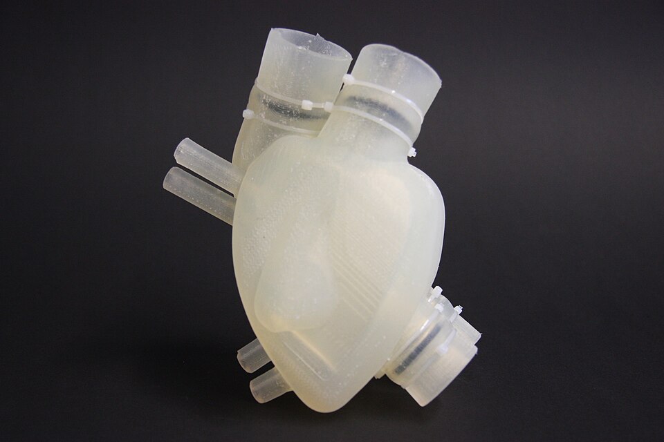 Fayl:Soft Total Artificial Heart sTAH.jpg