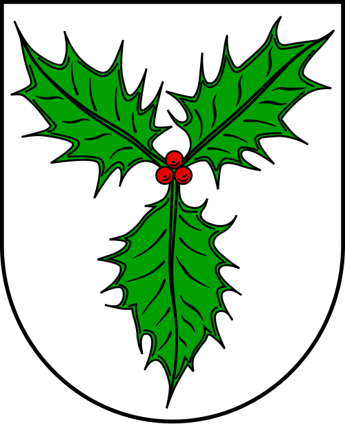 Fayl:DEU Hülsede COA.svg
