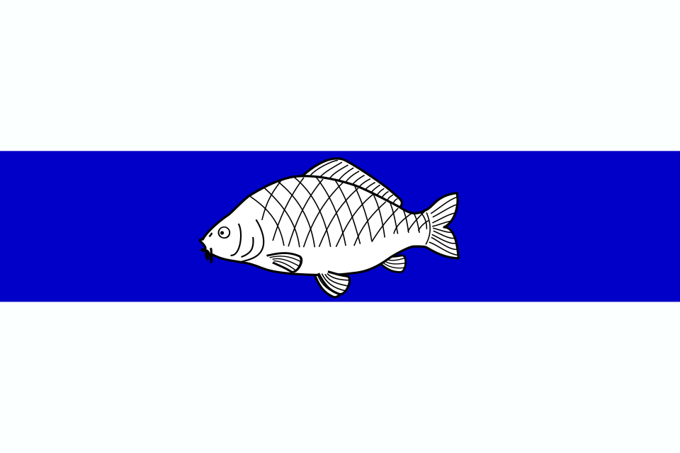 Fayl:Flag of Ceska Rybna CZ.svg