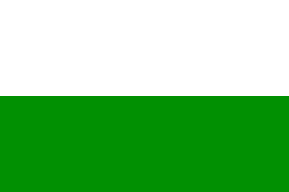 Fayl:Flag of Covaleda.svg
