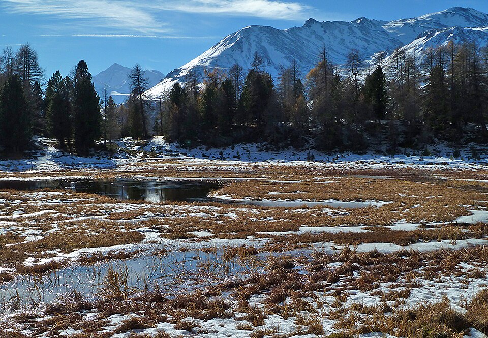 Fayl:Moosalp Bonigersee.jpg