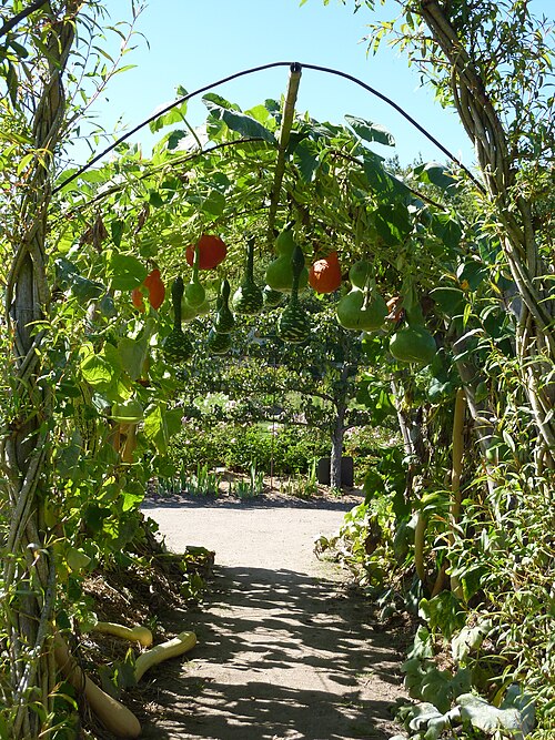 Fayl:La Bussiere Garden 04.jpg
