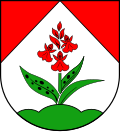Hüttblek