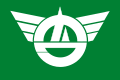 Minamiminova