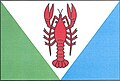 Flag of Račice
