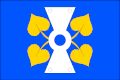 {{{rasmiy_nomi}}}ning bayrogʻi