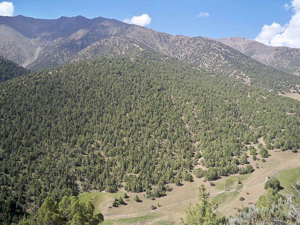 Fayl:Mountains located South of Isfana.JPG