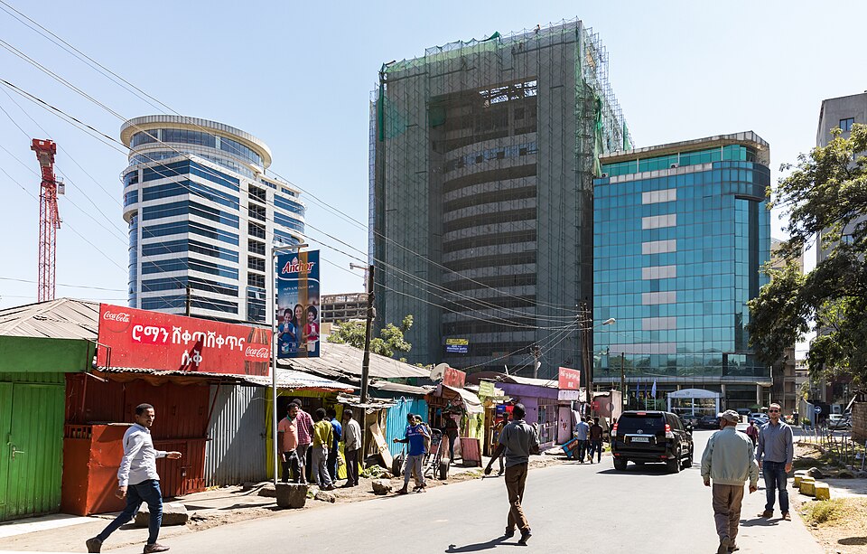 Fayl:Addis Ababa City view.jpg