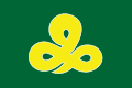 Mikava