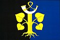 Skořenice