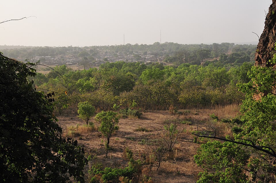 Fayl:Burkina 20110120 164655.jpg