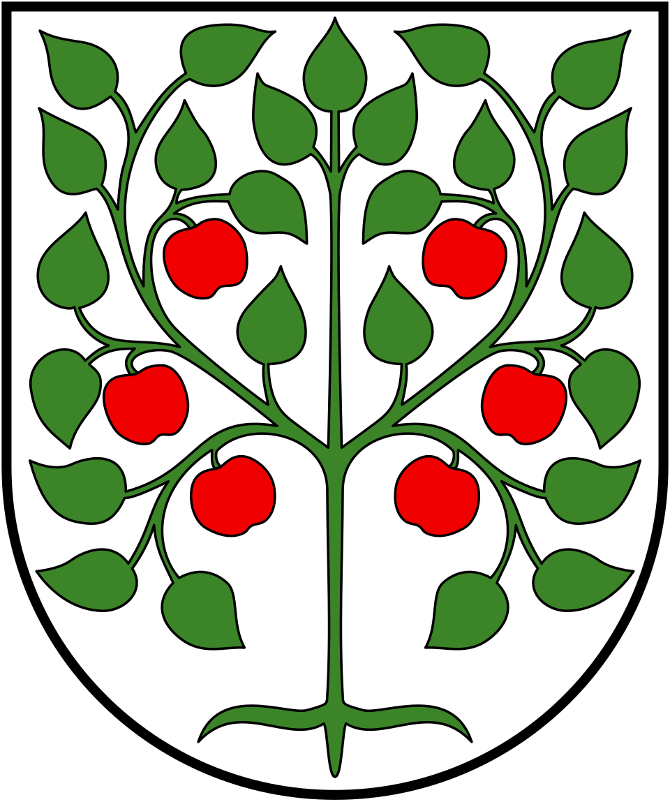 Fayl:CHE Amriswil COA.svg