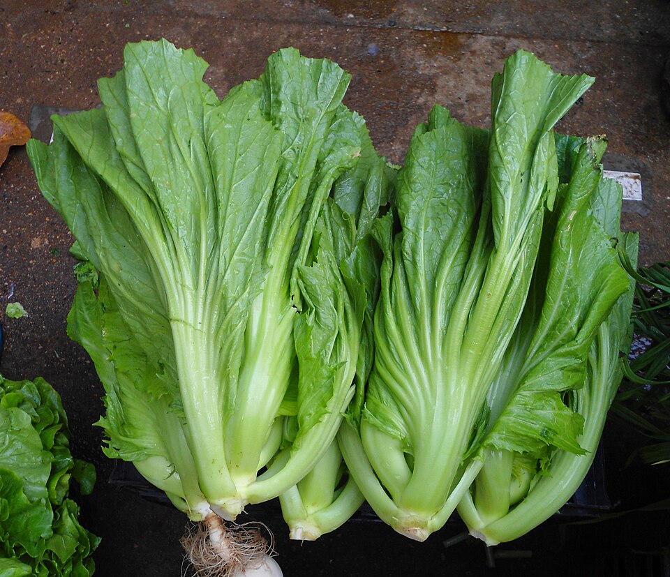 Fayl:Chinese vegetable 026.jpg