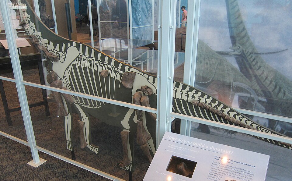 Fayl:Dinosaur Mysteries Astrodon.jpg