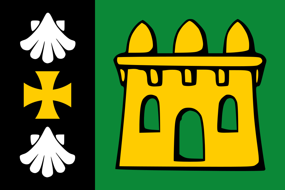 Fayl:Flag of Castrelo do Val.svg