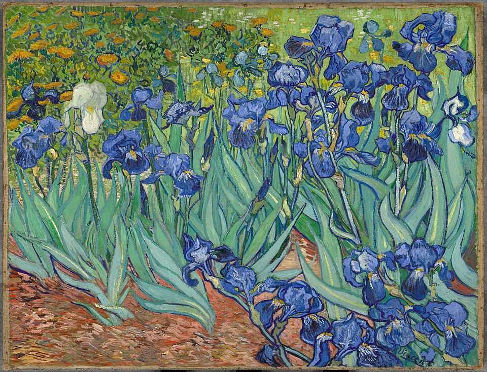 Fayl:Irises-Vincent van Gogh.jpg