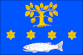 Mladé Buky