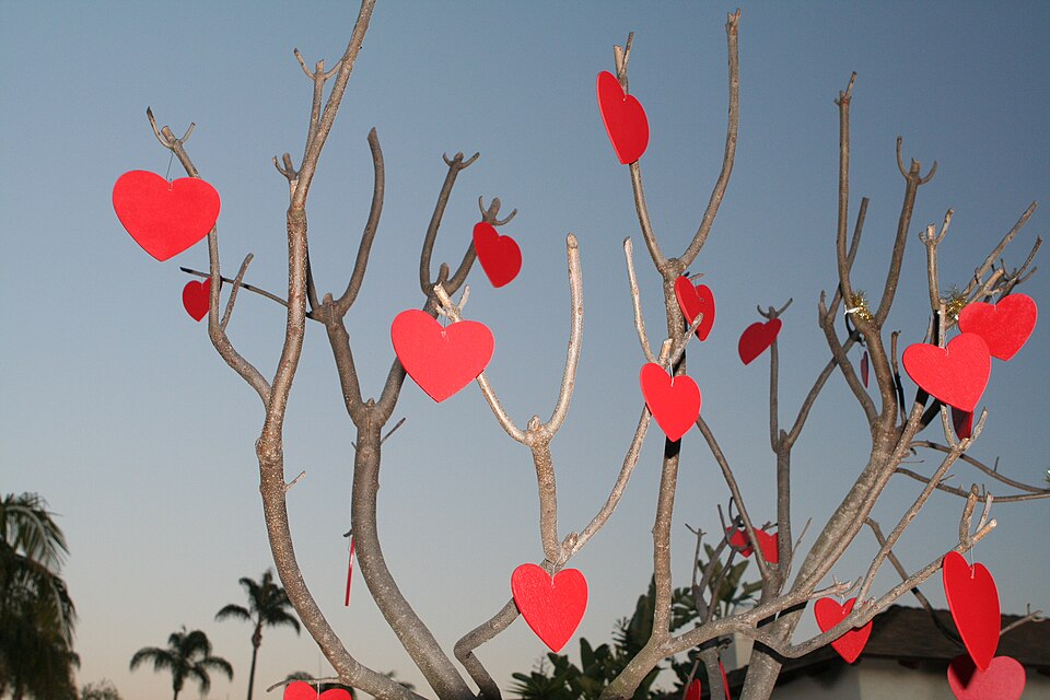 Fayl:Valentinesdaytree.jpg