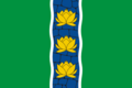 Kuvshinovskiy tumani