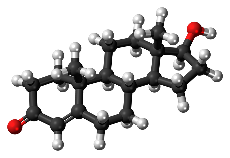 Fayl:Testosterone molecule ball.png