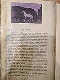 18:19, 2022-yil 3-dekabr dagi versiya uchun tasvir