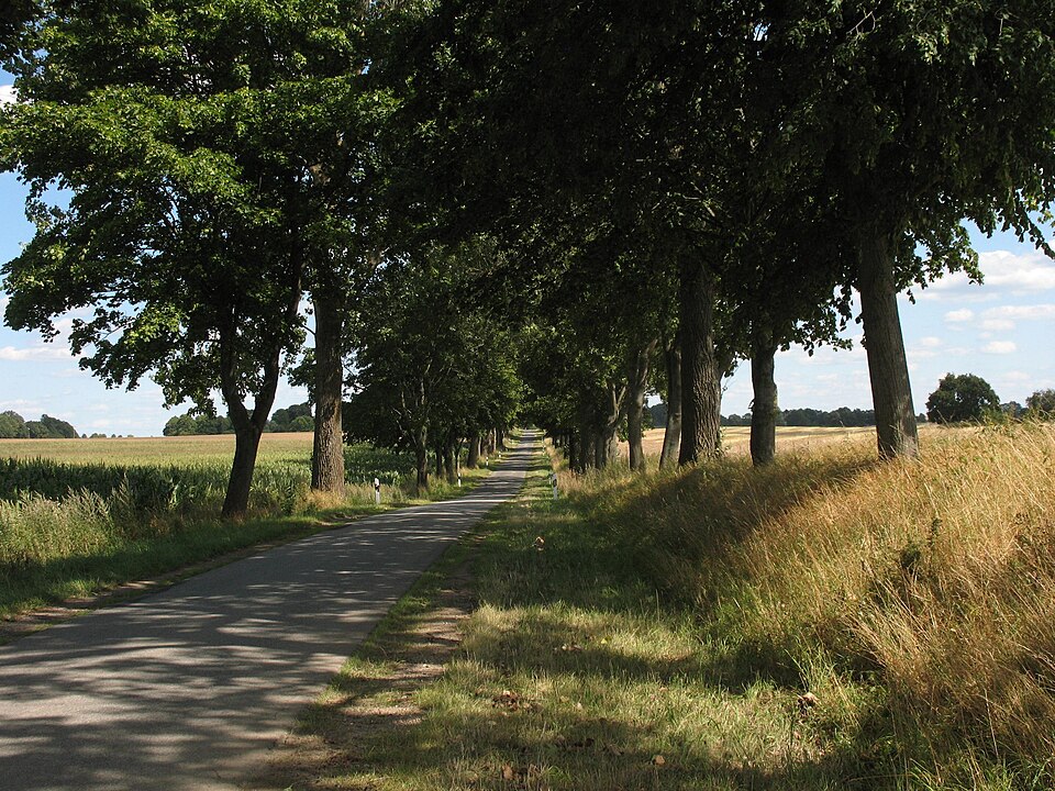 Fayl:Ruest Allee.jpg