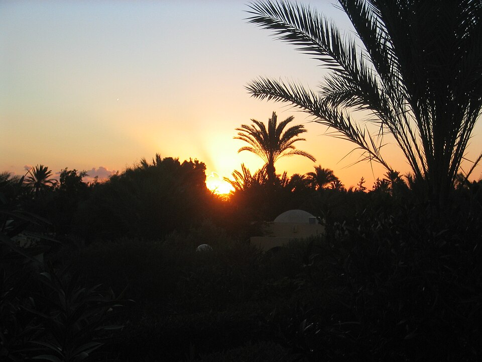 Fayl:Zarzis2007 img 5867.jpg