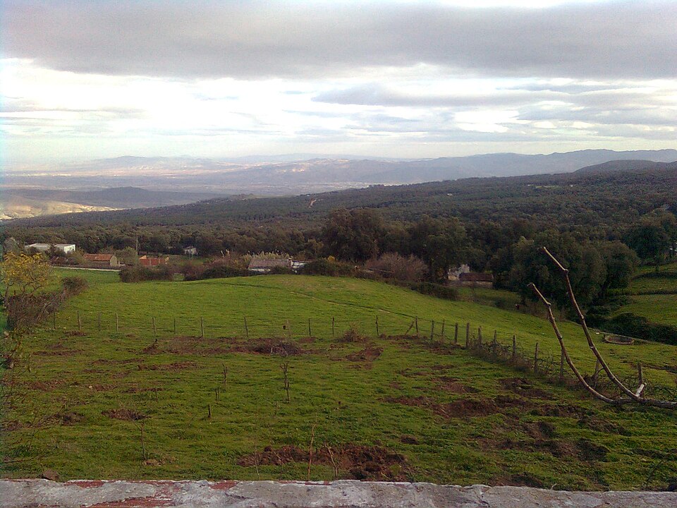 Fayl:Ain Soltan.jpg