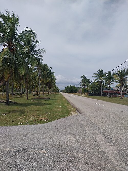 Fayl:Cherok Paloh, Pekan.jpg