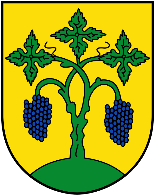 Fayl:DEU Soergenloch COA.svg