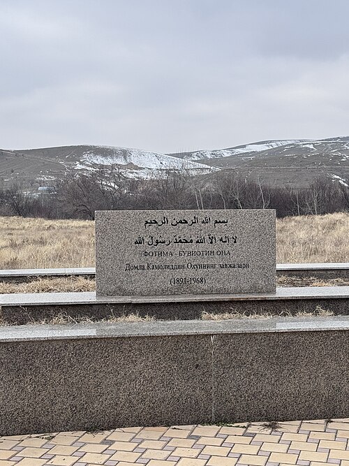 Fayl:Fotima Buviotin ona qabri.jpg