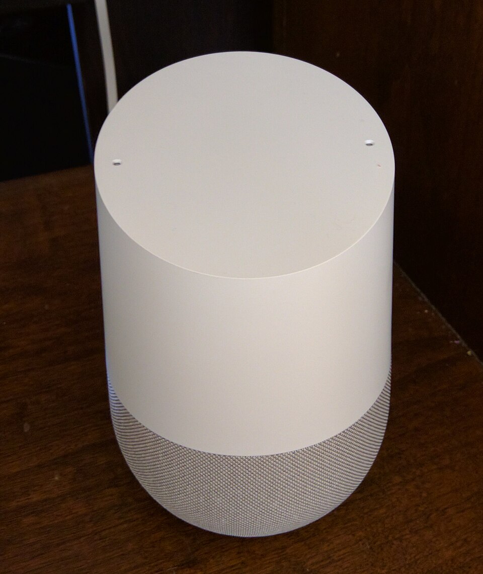 Fayl:Google-home-crop.jpg