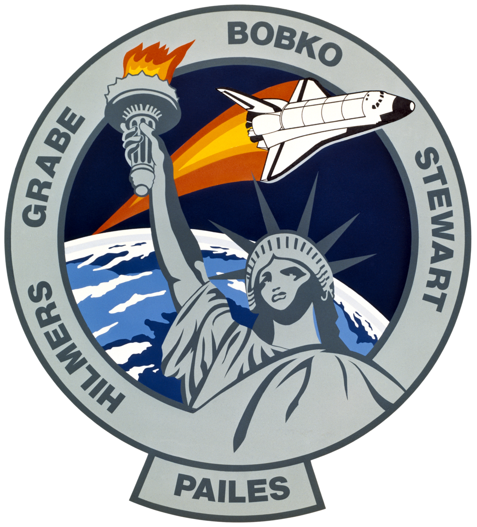Fayl:Sts-51-j-patch.png