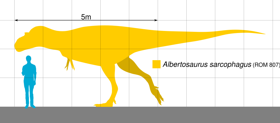 Fayl:Albertoscale.svg