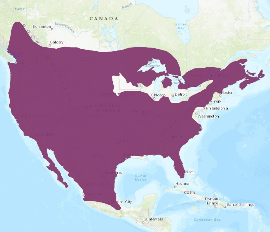 Fayl:Bobcat distribution2016.jpg