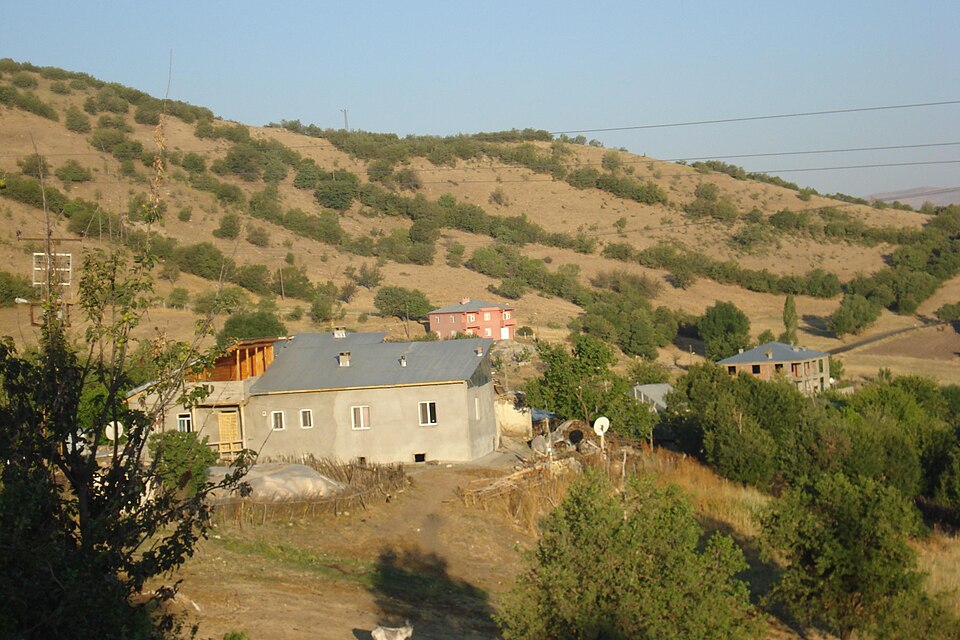 Fayl:Houses in Yoğunağaç, Karakoçan.jpg