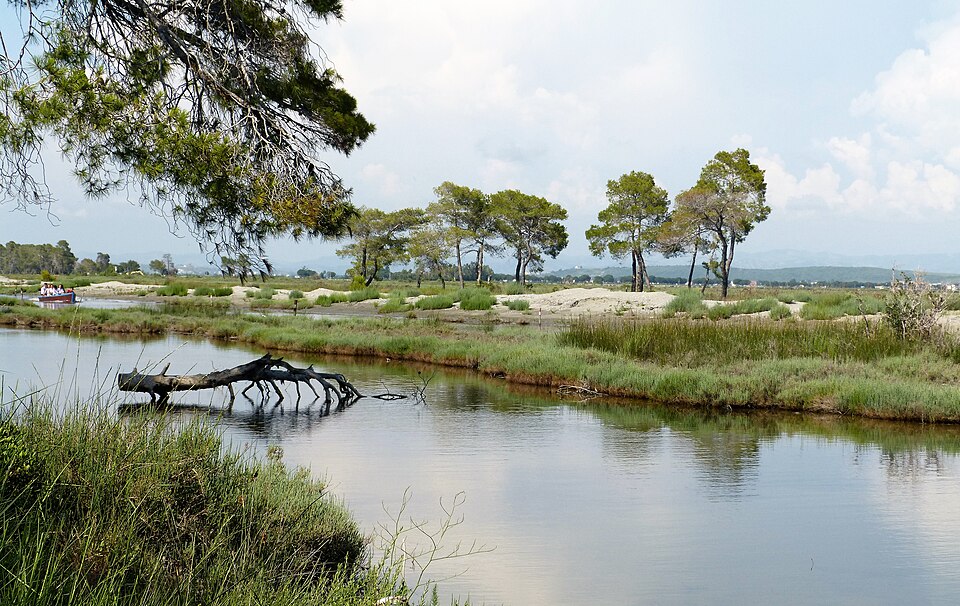 Fayl:Karavastra National Park (30911403928).jpg
