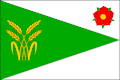 {{{rasmiy_nomi}}}ning bayrogʻi