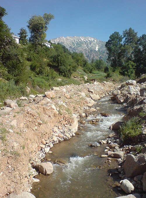 Fayl:Chimgansay river.JPG