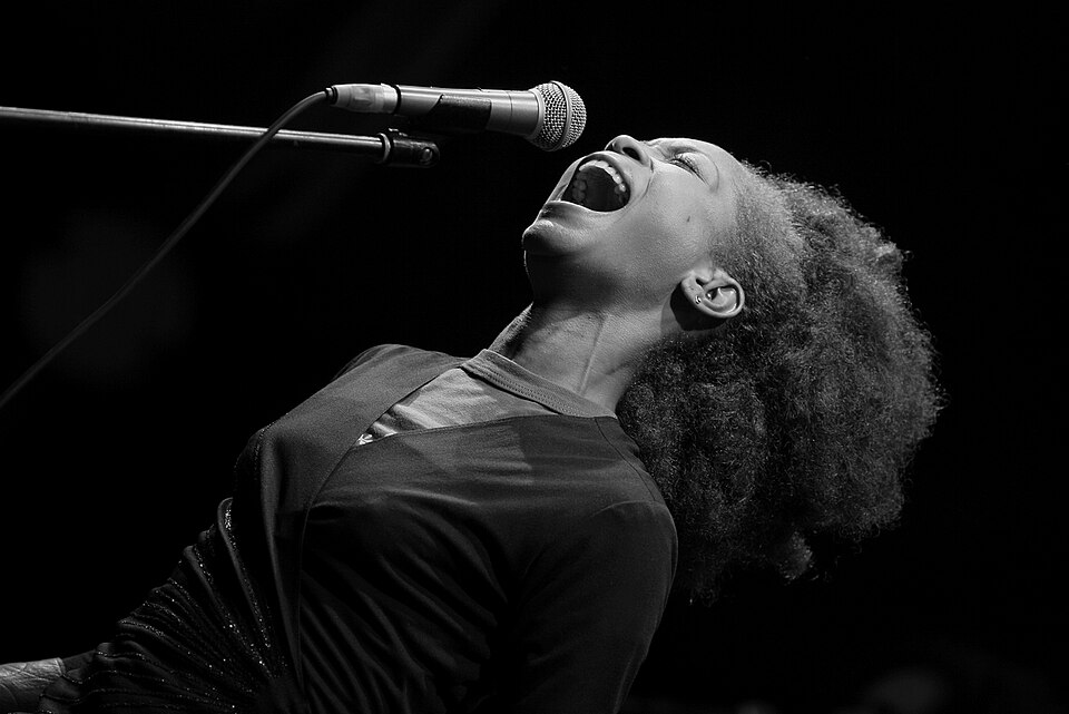 Fayl:Erykah Badu FEP.jpg