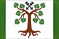 {{{rasmiy_nomi}}}ning bayrogʻi